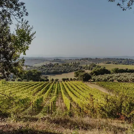 Colombini By Mmega Villa Trequanda