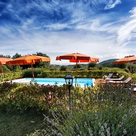 Colombini By Mmega *